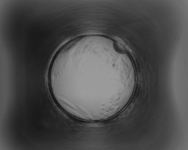 X0000100191189200806201248