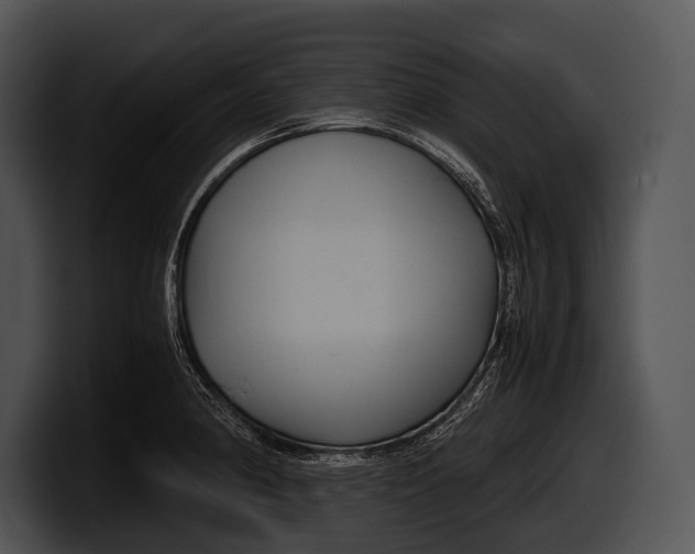 X0000100191190200806201248