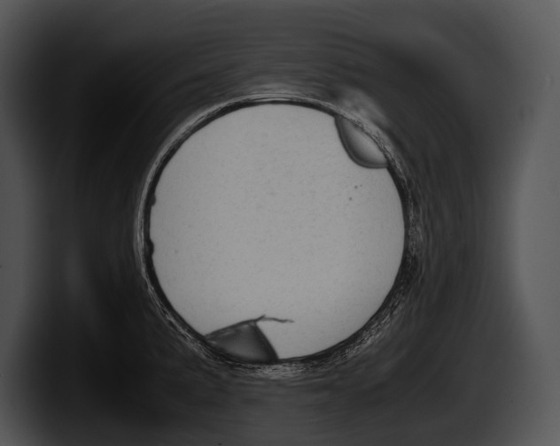 X0000100191191200806201248