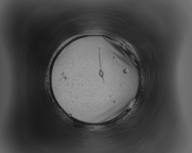 X0000100191192200806201248