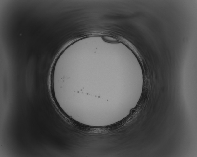 X0000100191195200806201248