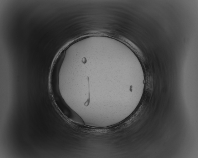 X0000100191196200806201248