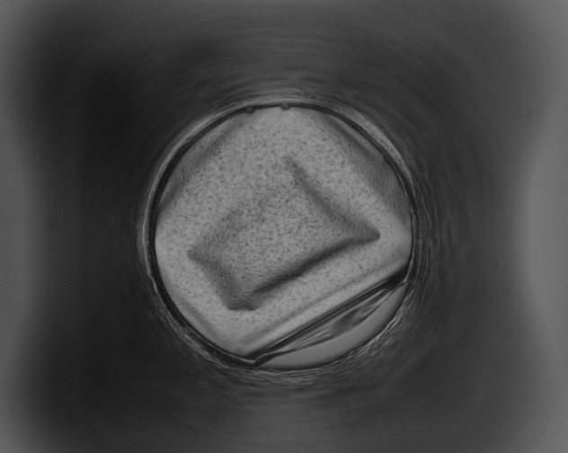 X0000100191197200806201248