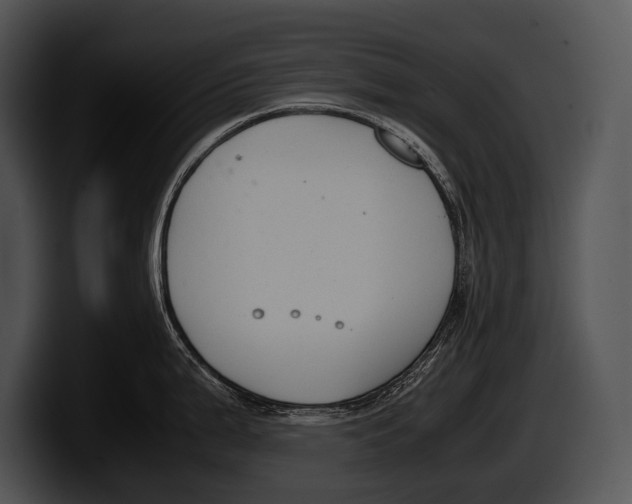 X0000100191199200806201248