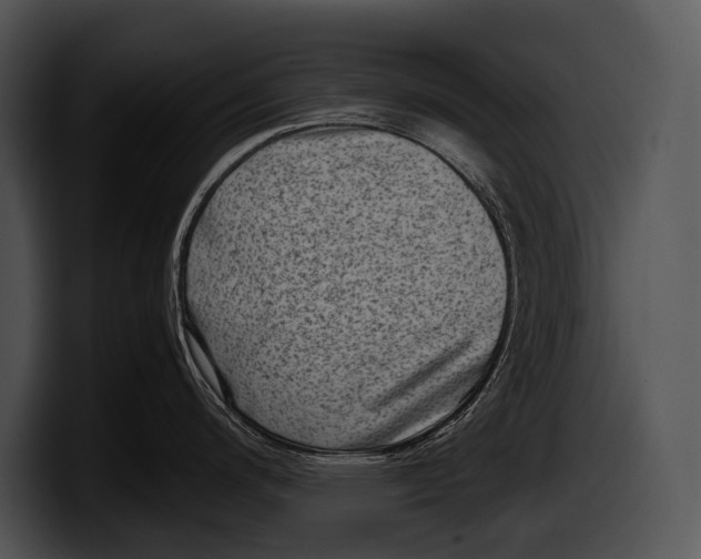 X0000100191200200806201248