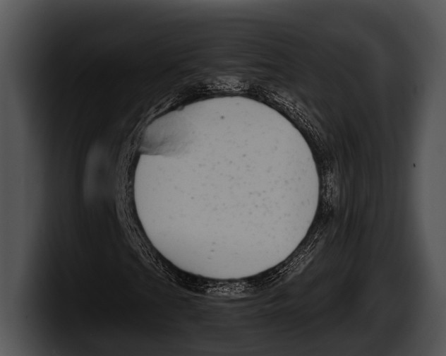 X0000100191201200806201247