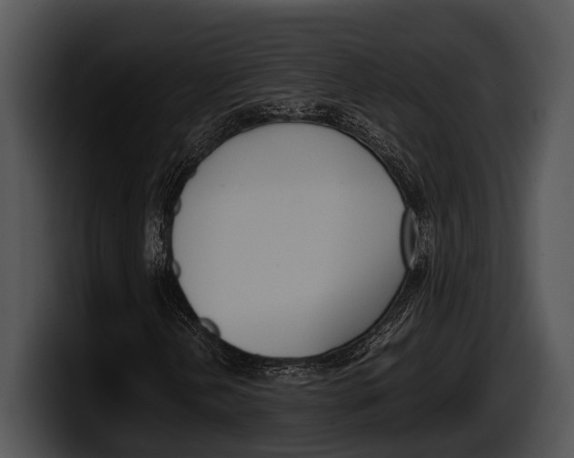 X0000100191202200806201247