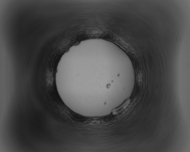 X0000100191204200806201247