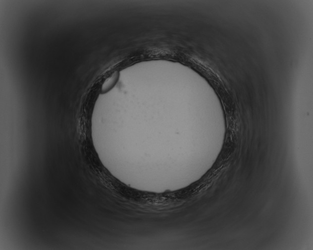 X0000100191207200806201247