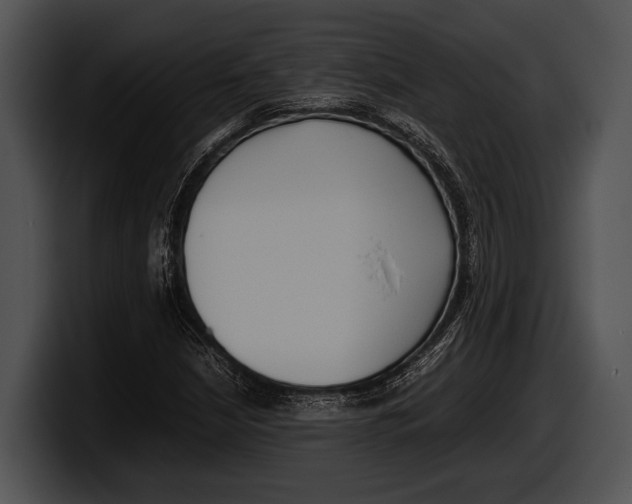 X0000100191210200806201247