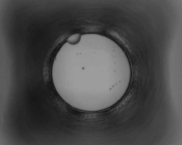 X0000100191211200806201247