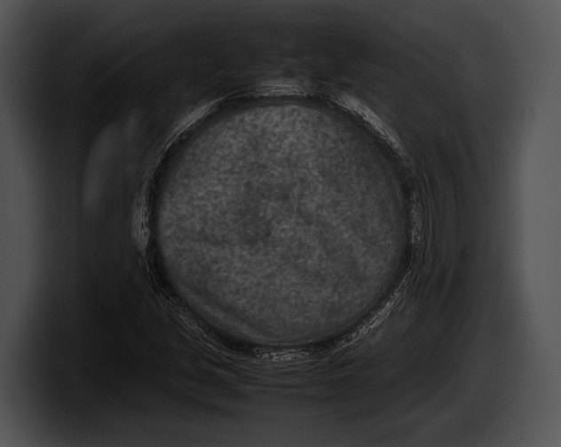 X0000100191213200806201247