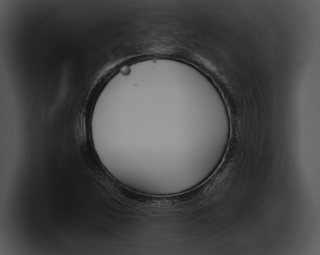 X0000100191214200806201247