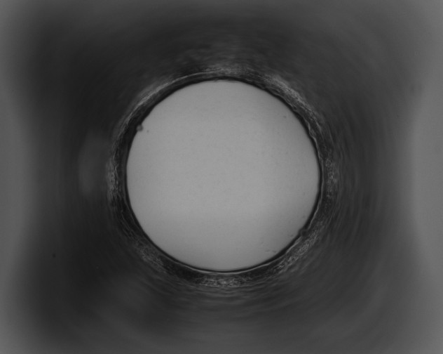 X0000100191215200806201247