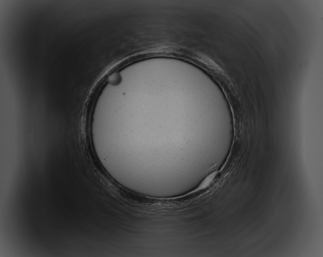 X0000100191216200806201247