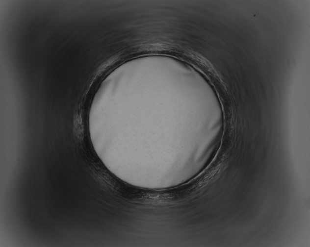 X0000100191218200806201247