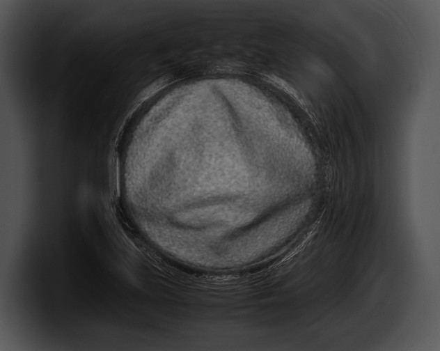 X0000100191219200806201247