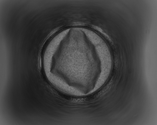 X0000100191221200806201248