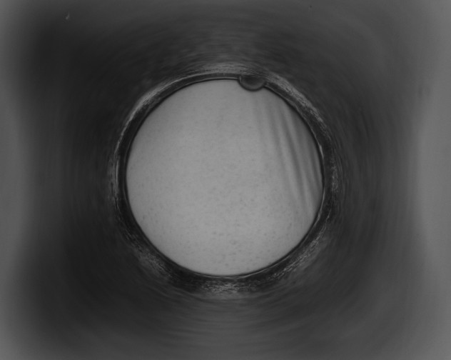 X0000100191222200806201248