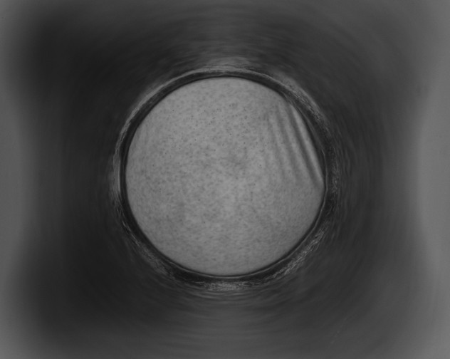 X0000100191224200806201248