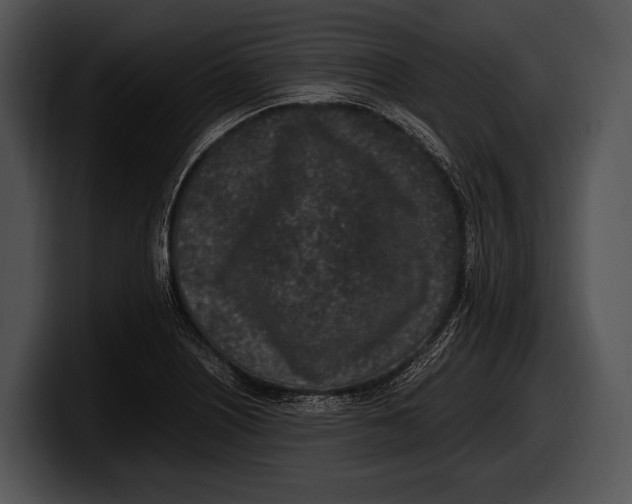 X0000100191226200806201248