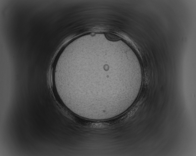 X0000100191227200806201248