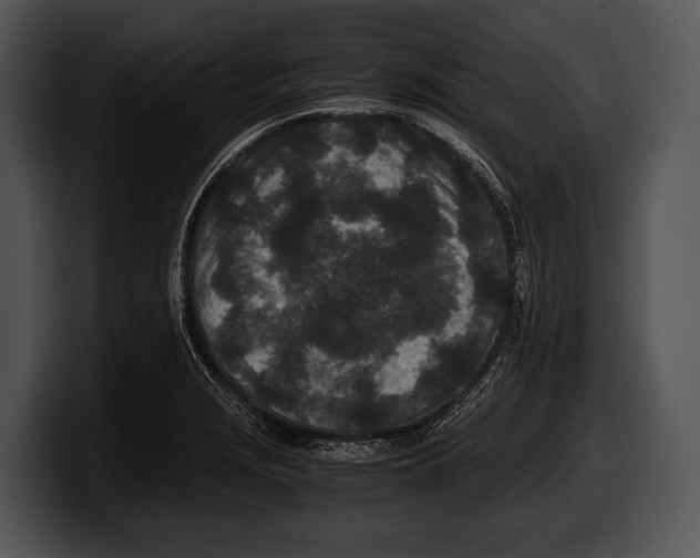 X0000100191229200806201248