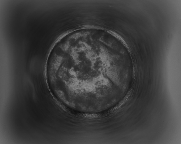 X0000100191231200806201248