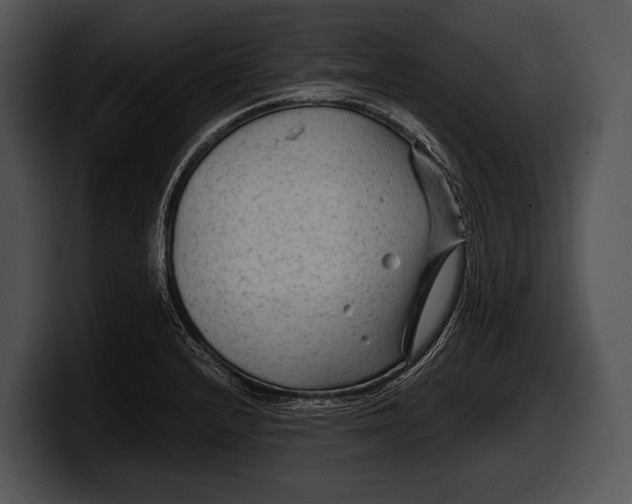 X0000100191232200806201248