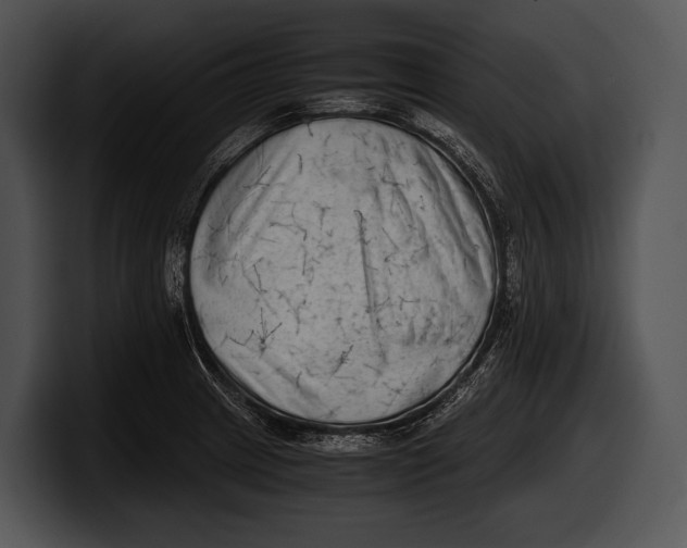 X0000100191233200806201248