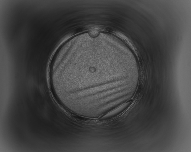 X0000100191235200806201248