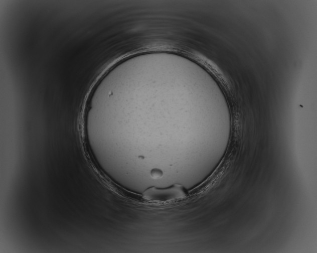 X0000100191236200806201248