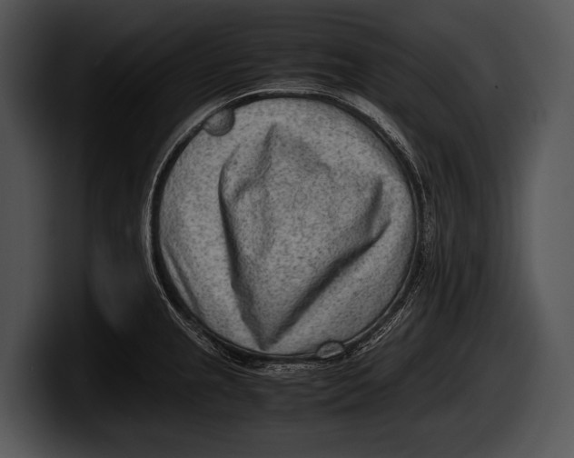 X0000100191237200806201248