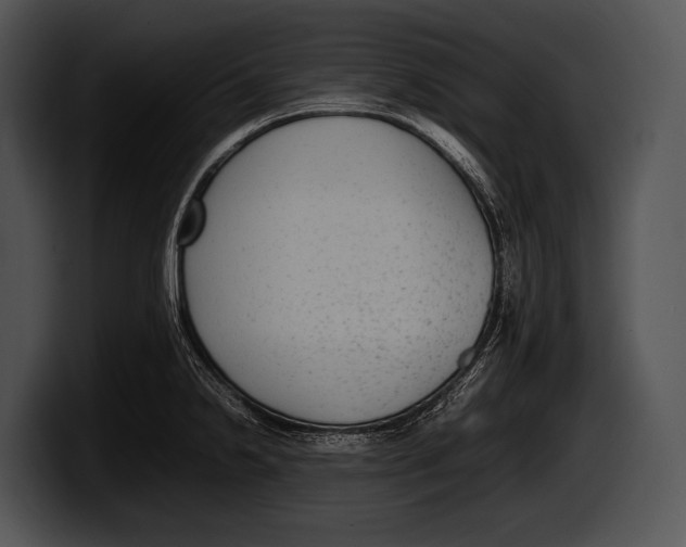 X0000100191238200806201248