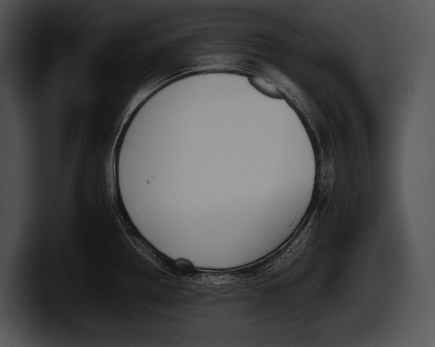 X0000100191242200806201248