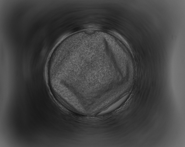 X0000100191243200806201248