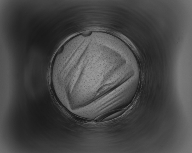 X0000100191244200806201248