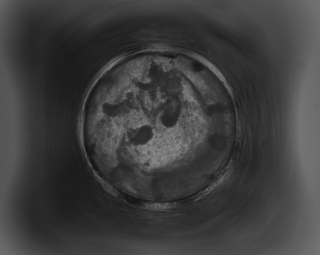 X0000100191245200806201248