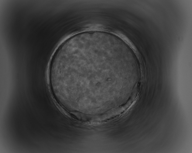 X0000100191246200806201248