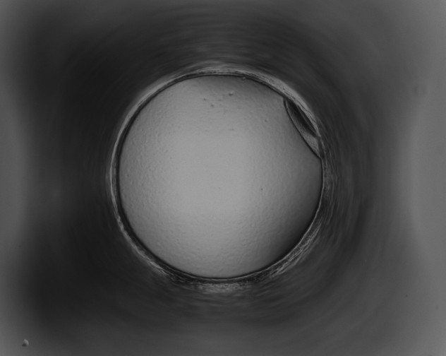 X0000100191247200806201248