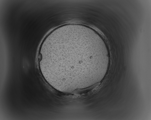 X0000100191248200806201248