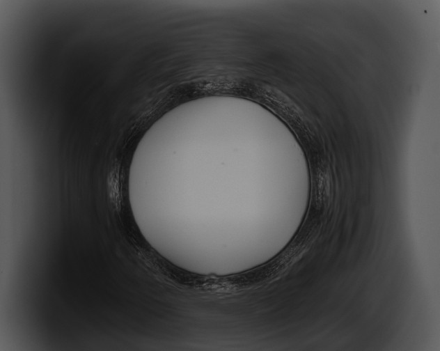 X0000100191250200806201247