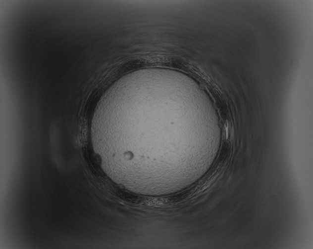 X0000100191251200806201247