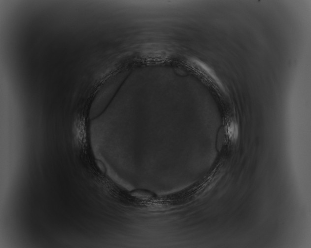 X0000100191252200806201247