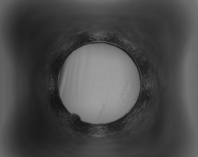 X0000100191253200806201247