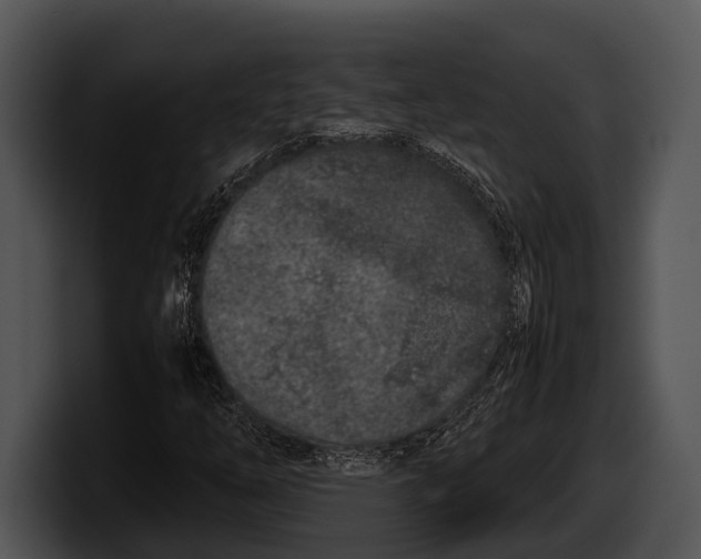 X0000100191254200806201247