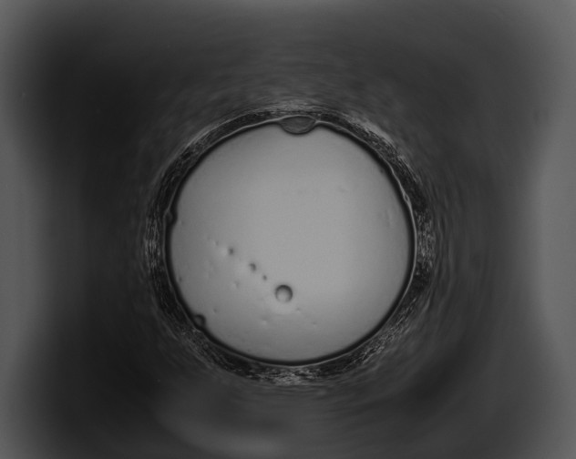 X0000100191255200806201247