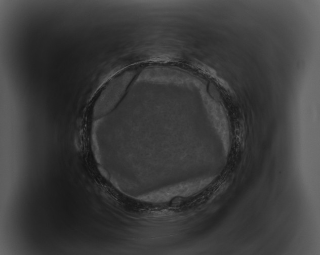 X0000100191256200806201247