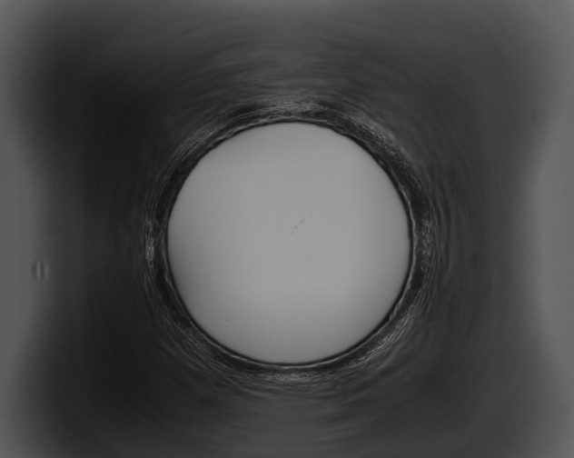 X0000100191257200806201247