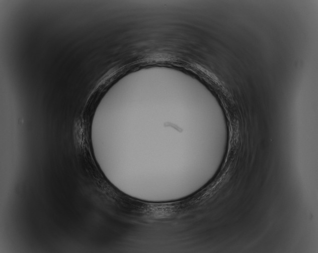 X0000100191258200806201247